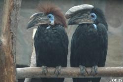 Vogelpark Niendorf