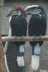 Vogelpark Niendorf