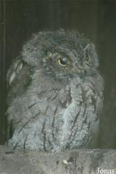 Vogelpark Niendorf