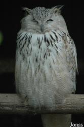Vogelpark Niendorf