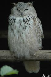 Vogelpark Niendorf