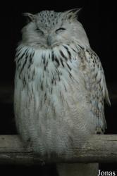 Vogelpark Niendorf