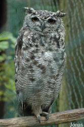 Vogelpark Niendorf