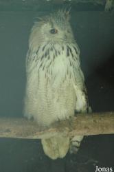 Vogelpark Niendorf