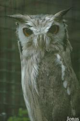 Vogelpark Niendorf