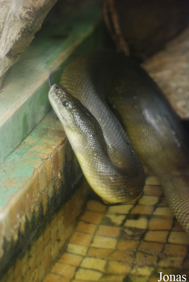 Vivarium Darmstadt