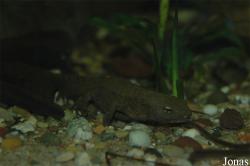 Vivarium Darmstadt