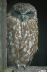 Vogelpark Niendorf