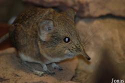 Zoo Landau in der Pfalz