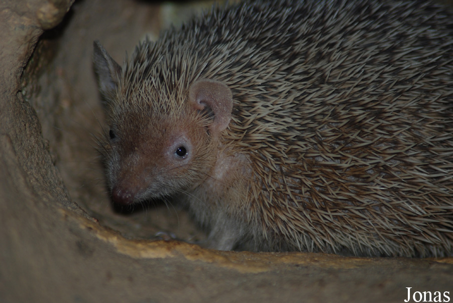 Zoo Landau in der Pfalz