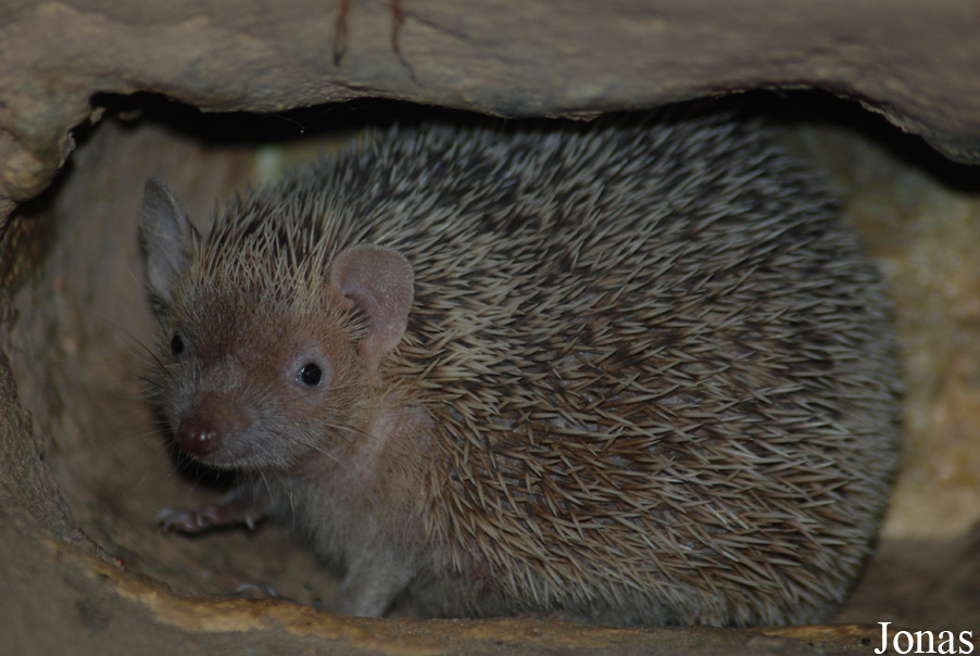 Zoo Landau in der Pfalz