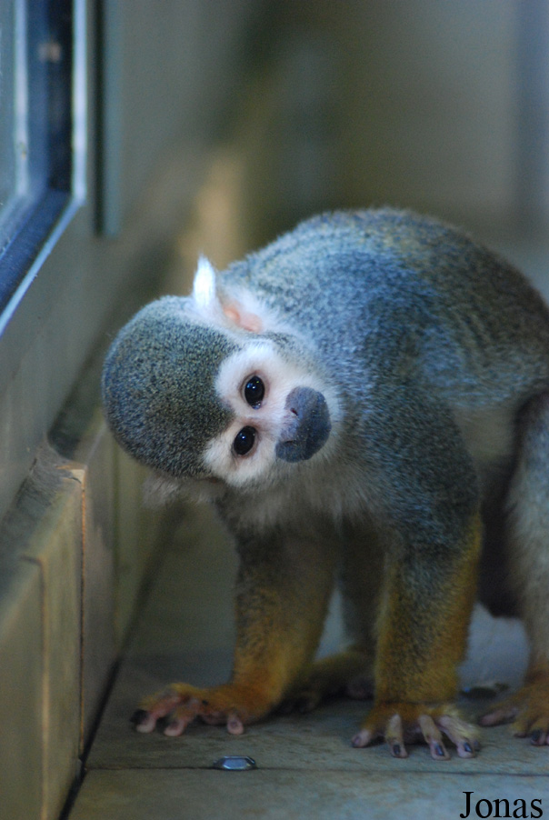Zoo Landau in der Pfalz