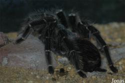 Zoo Antwerpen