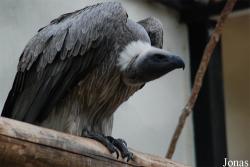 Bioparco di Roma