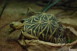 Bioparco di Roma