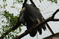 Zoo di Napoli