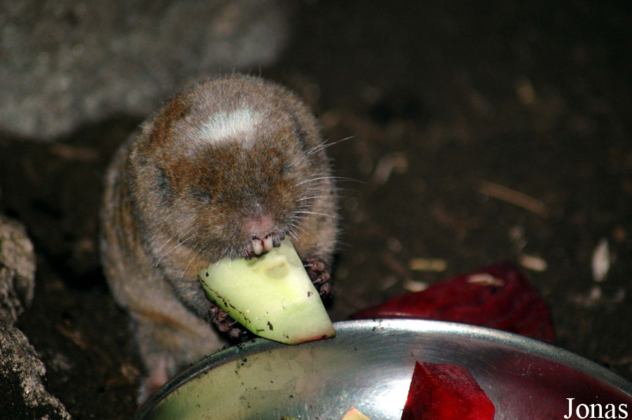 Zoo Wuppertal
