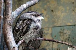 Zoo Wuppertal