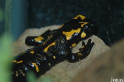 Aqua Zoo Friesland