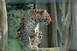 Tierpark Bochum