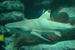 Tierpark Bochum