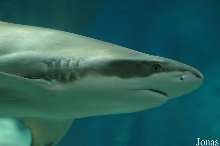 Tierpark Bochum