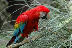 Allwetterzoo Münster