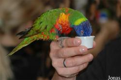 Allwetterzoo Münster