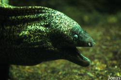 Zoo Antwerpen