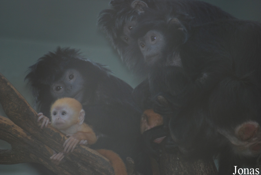 Zoo Antwerpen