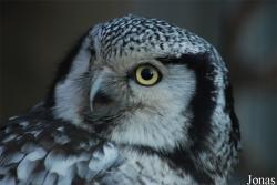 Zoo Antwerpen