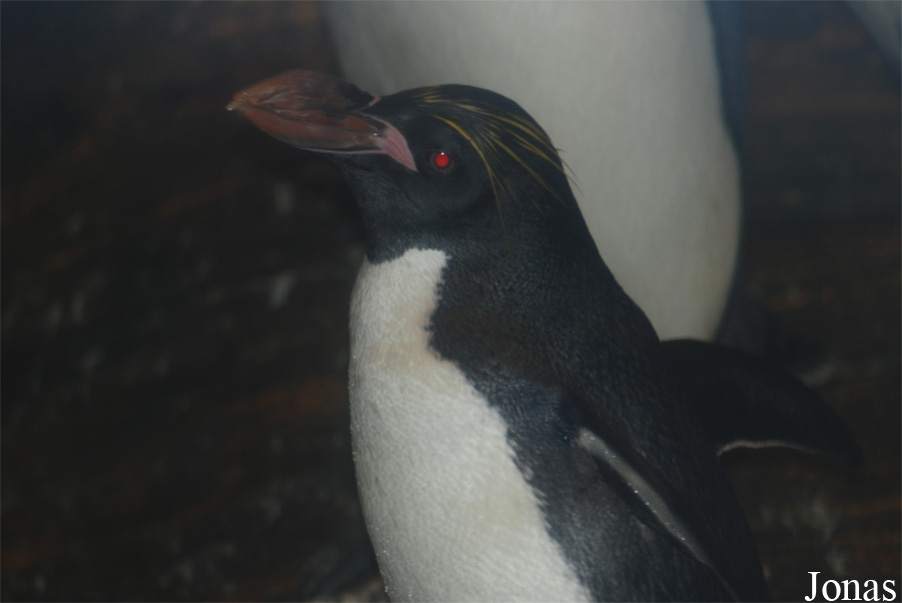 Zoo Antwerpen