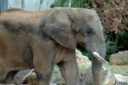 Zoo d'Amnéville