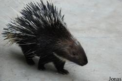 Guangzhou Zoo