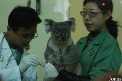 Xiangjiang Safari Park Guangzhou