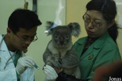 Xiangjiang Safari Park Guangzhou