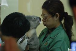Xiangjiang Safari Park Guangzhou