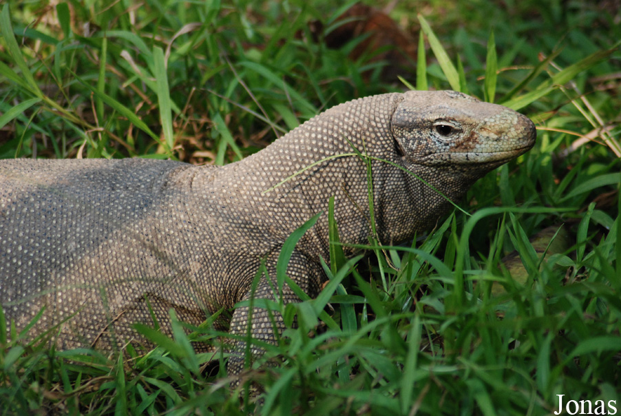 Crocopark Guangzhou