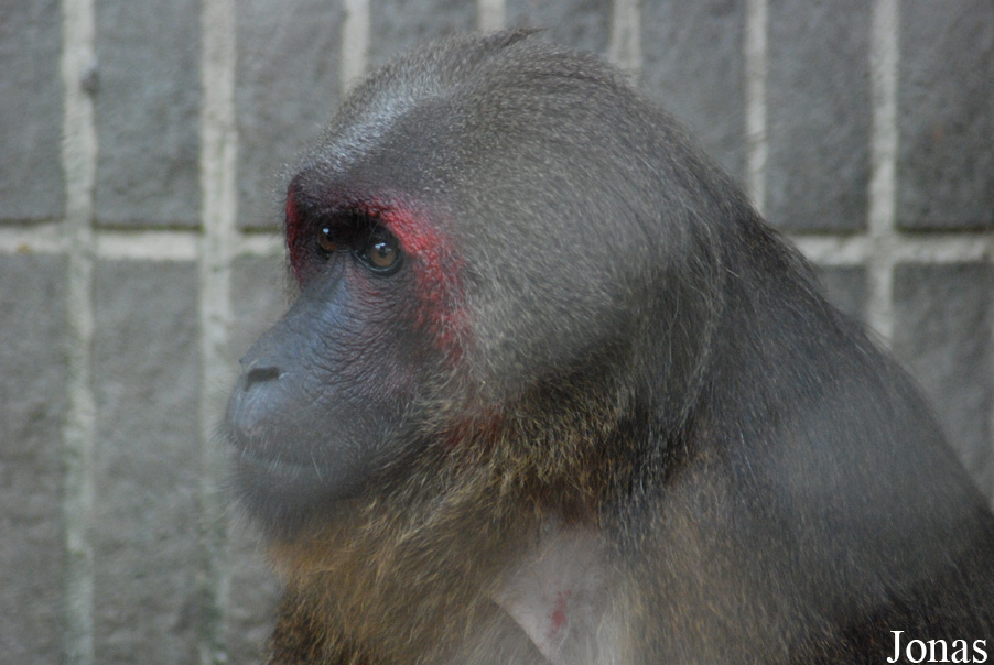 Safari Park Shenzhen