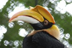 Safari Park Shenzhen