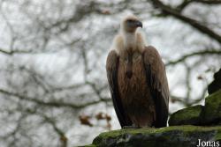 Tierpark Nordhorn