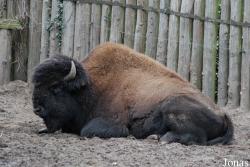 Tierpark Nordhorn