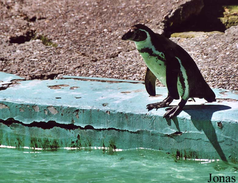 Zoologischer Garten Karlsruhe