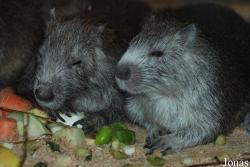 NaturZoo Rheine