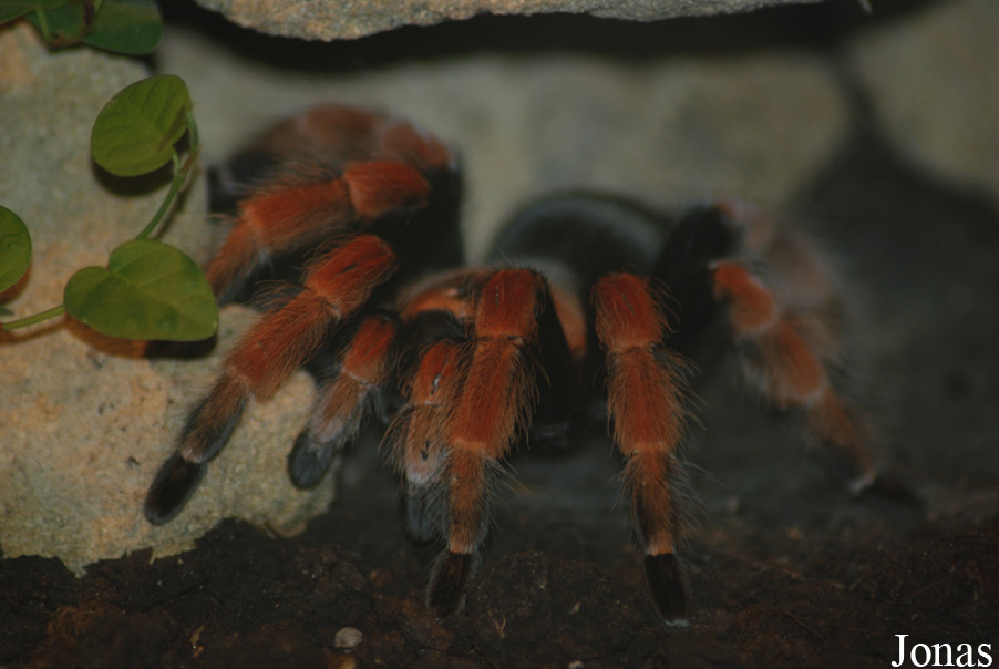 NaturZoo Rheine