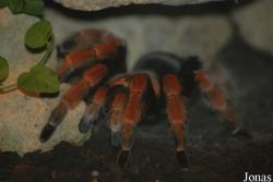 NaturZoo Rheine
