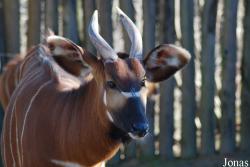 GaiaPark Kerkrade Zoo