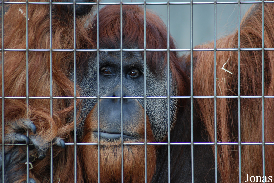 Zoo Basel