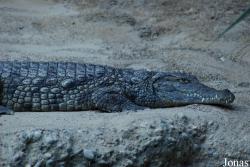 Zoo Basel
