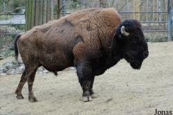 Zoo Basel